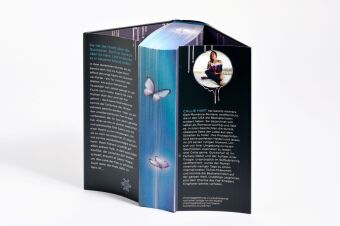 Quicksilver - Tochter des Silbers. Gefangener der Schatten 