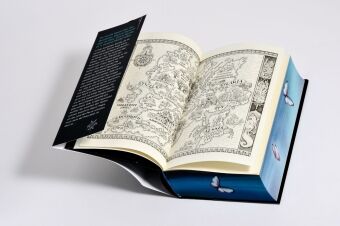 Quicksilver - Tochter des Silbers. Gefangener der Schatten 