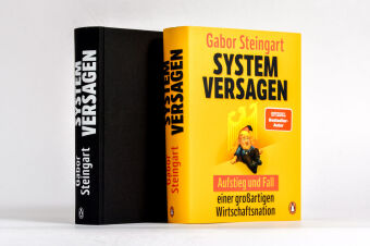 Systemversagen 