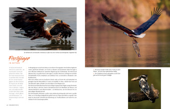 Namibia und Botswana