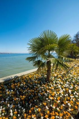 Das Buch der kuriosen Orte am Bodensee