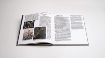 Sibylle Springer: Ferne Spiegel / Distant Mirrors