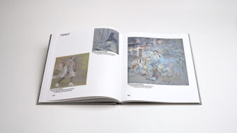Sibylle Springer: Ferne Spiegel / Distant Mirrors