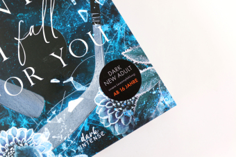 Until I Fall For You (Fairview Hockey, Band 2)