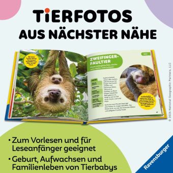 National Geographic Kids - Die tollsten Tierbabys aus aller Welt