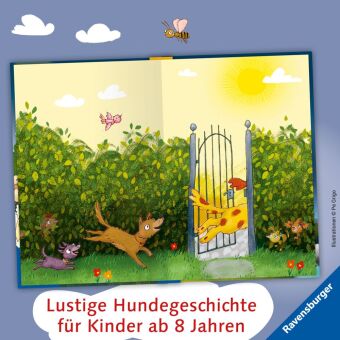 3 Streuner werden Filmstars