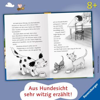 3 Streuner werden Filmstars