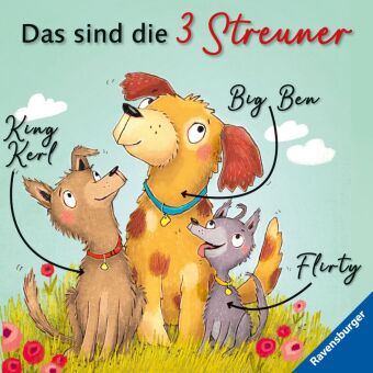 3 Streuner werden Filmstars
