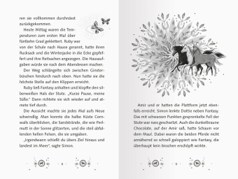 Pferdeflüsterer-Mädchen, Band 4 - Das kleine Wunder