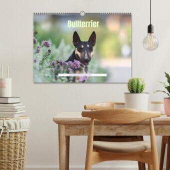 Bullterrier - charmante Herzensbrecher (Wandkalender 2026 DIN A3 quer), CALVENDO Monatskalender