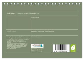 Bullterrier - charmante Herzensbrecher (Tischkalender 2026 DIN A5 quer), CALVENDO Monatskalender