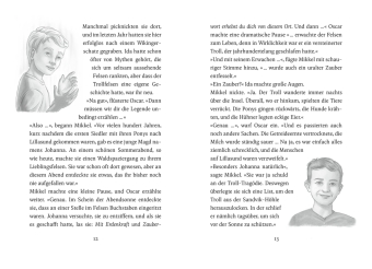 Die Ponys von Lillasund 4. Das Mittsommer-Turnier 