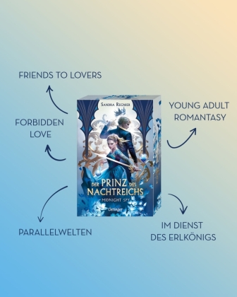 Der Prinz des Nachtreichs 1. Midnight Spy
