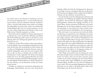 The Morrisey Mysteries 2. Die geheime Treppe