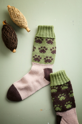 Auf die Socken, fertig, Weltrekord! 