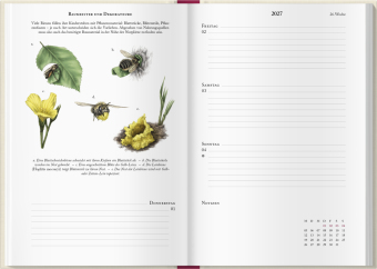 Bienenkalender 2027