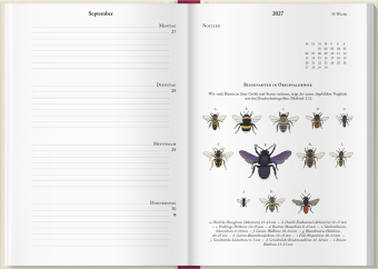 Bienenkalender 2027