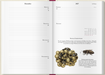 Bienenkalender 2027