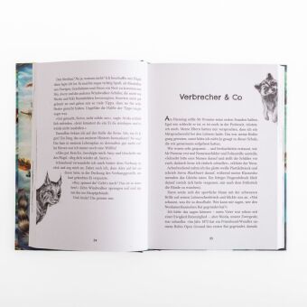 Windwalkers (2). Helden der Lüfte