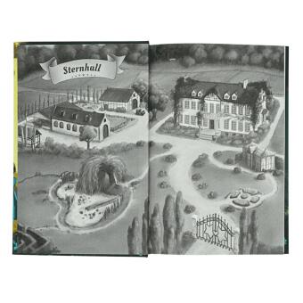 Die Flügelpferde von Sternhall (2). Ein glitzerndes Geheimnis
