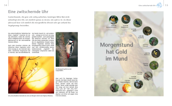 Vögel zu Gast im Garten - Heimische Vögel beobachten, bestimmen, schützen.
