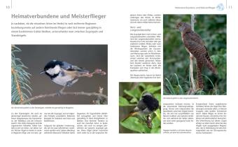 Vögel zu Gast im Garten - Heimische Vögel beobachten, bestimmen, schützen.