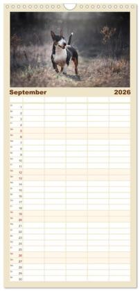 Familienplaner 2026 - Bullterrier - charmante Herzensbrecher mit 5 Spalten (Wandkalender, 21 x 45 cm) CALVENDO