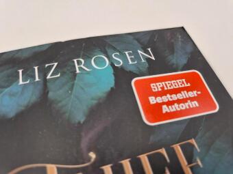 Thief of Hearts - Liebe ist Verrat