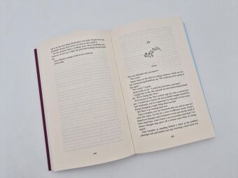 Forbidden Lies (English Edition)