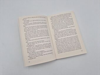 Gemälde eines Mordes