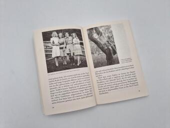 Ingeborg Bachmann, meine Schwester