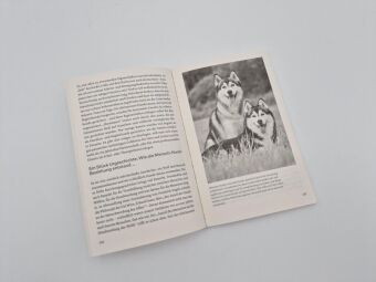 Warum Hunde uns zu besseren Menschen machen