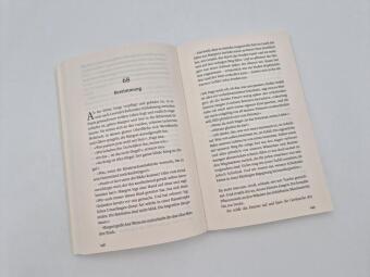 Die Unvollkommenheit des Glücks