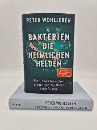 Bakterien - die heimlichen Helden