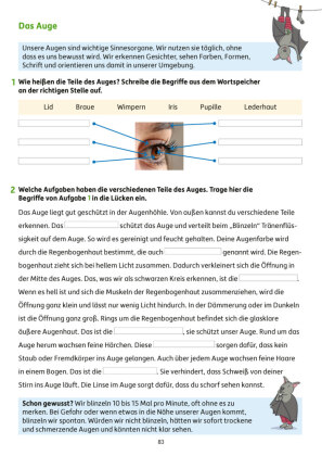 Erfolgreich durch die 3. Klasse - Mathe, Deutsch, Sachunterricht