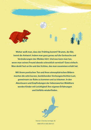 Wenn es Licht wird im Wald 