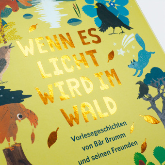 Wenn es Licht wird im Wald 