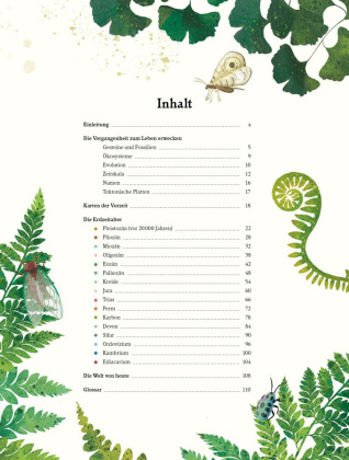 Urwelten. Eine illustrierte Entdeckungsreise durch die Erdgeschichte 