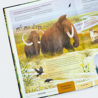 Urwelten. Eine illustrierte Entdeckungsreise durch die Erdgeschichte 