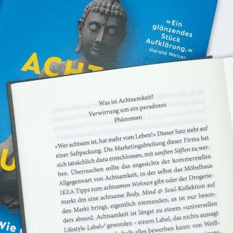Achtsam geht die Welt zugrunde