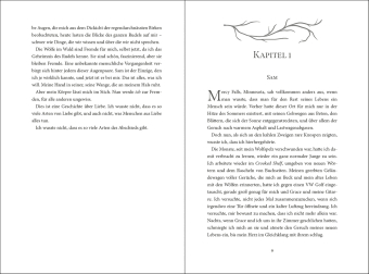 Linger (Die Wölfe von Mercy Falls, Band 2)