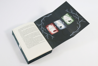 Linger (Die Wölfe von Mercy Falls, Band 2)