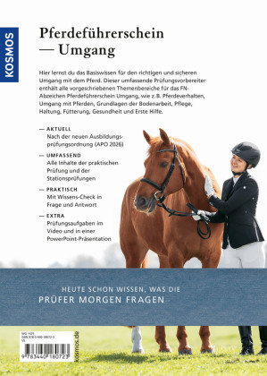 Pferdeführerschein Umgang