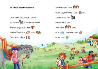 Sternenschweif, Bücherhelden Erstes Lesen, Das magische Steckenpferd