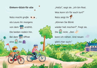 Sternenschweif, Bücherhelden Erstes Lesen, Das magische Steckenpferd