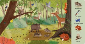 Tiere im Wald