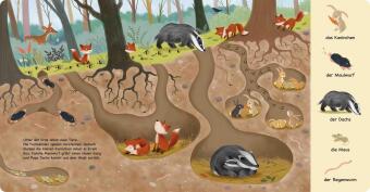 Tiere im Wald