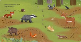 Tiere im Wald