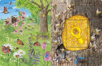 Mein Lupen-Wimmelbuch: Wald und Wiese