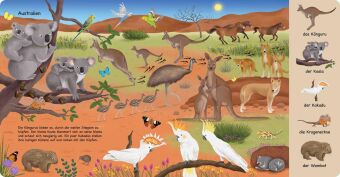 Tiere aus aller Welt